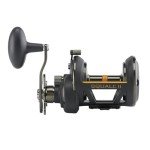 Penn Squall II Star Drag Conventional Fishing Reel, SQLII40SD,Black Gold