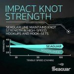 Seaguar Blue Label 100% Flourocarbon Fishing Line (DSF), 2lbs, 25yds Break Strength/Length - 02FC25