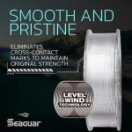 Seaguar Blue Label 100% Flourocarbon Fishing Line (DSF), 2lbs, 25yds Break Strength/Length - 02FC25