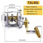 One Bass Fishing Reels Level Wind Trolling Reel Conventional Jigging Reel for Saltwater Big Game Fishing (Left Handed)