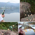 Sougayilang Fishing Rods,24 Ton Carbon Fiber Spinning Rod & Casting Rod Stainless Steel Guides,Lightweight Baitcasting Rod - Two Pieces- Casting- 6'0"