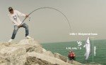 LITTMA Surf Spinning Rod - 9/10/11/12ft Graphite Saltwater Fishing Rod with Durable Stainless Steel Guides - Lightweight and Travel-Friendly Design for Beach and Surf Fishing