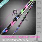 Sougayilang Fishing Rod, 2-Piece Fiber Glass Casting Rod with EVA Grip, Smooth Transition Fishing Pole- 6'0"