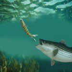 SOSOFISH Fishing Lures with Spinner Baits Blades for Topwater, Swimbait for Trout and Bass Slow Sinking, 5pcs Fishing Hard Baits (8D)