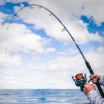 KastKing Kong Fishing Rod, Spinning Rod 2 pc 8' MH