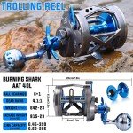 Burning Shark Trolling Reel Saltwater Level Wind Reels, Drag Reels Boat Fishing for Sea Bass Grouper Salmon- AAT40L