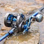 Burning Shark Trolling Reel Saltwater Level Wind Reels, Drag Reels Boat Fishing for Sea Bass Grouper Salmon- AAT40L