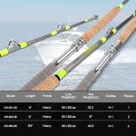 Fiblink 2-Piece Saltwater Offshore Trolling Rod Big Game Rod Conventional Boat Fishing Pole (6'6" - 2pc - 80-120lbs)