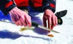 OUTDOOR EDGE Fish & Bone - Folding Fillet Knife with 5.0" 440A Stainless Steel Blade for Fish and processing big game - Pocket Clip (Green/Black)