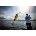 Berkley Flicker Shad Fishing Lure, Black Silver, 5/16 oz, 2 3/4in | 7cm Crankbaits, Size, Profile and Dive Depth Imitates Real Shad, Equipped with Fusion19 Hook