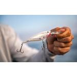 Berkley Flicker Shad Fishing Lure, Black Silver, 5/16 oz, 2 3/4in | 7cm Crankbaits, Size, Profile and Dive Depth Imitates Real Shad, Equipped with Fusion19 Hook