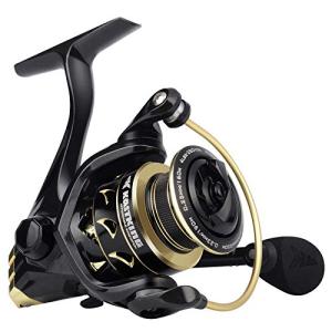 KastKing Valiant Eagle Spinning Reels, Black Gold Fishing Reel, Size 4000
