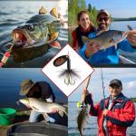 10PCS Rooster Tail Fishing Lures with Tackle Box, Spinner Bait with Flash Copper Body & Spoon, Trout Lures, Freshwater and Saltwater Bait for Bass Trout Crappie Walleye, Swimming or Jigging