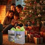 Havercamp Fishing Gift Bag, Medium, 10 x 12 x 4.25 Inches, Gone Fishin' Party Collection