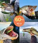 Fishing Leaders, Fishing Tackle, Fish Line, Stainless Steel Wire, Fish Gear Kit, with Swivels Snap Connect, for Lures Bait Rig Or Hooks Green (3 Size Test 40 Lb)