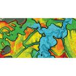 Humminbird LakeMaster Premium Southeast States V1 Map SD Card for Fish Finders