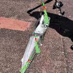 10pcs Mackerel Feathers Rigs, Pre Tied Mackerel Lure Sea Fishing Rigs with Luminous Beads Bionic Flying Insects Lure Rig for Pollock,Cod,Herring,Bass (3pcs #12;3pcs #16;4pcs #18)