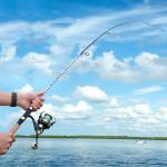 Sougayilang Glass Fishing Rods, Spinning & Casting Rods, Strong, 100% Phenolic Glass Blanks, Stainless Steel Guide- Spinning- 7'0"