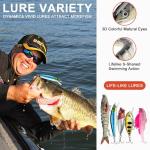 193PCS Fishing Lures Kit with Tackle Box, Freshwater Saltwater Bass Lures Set – Hard Baits, Soft Plastic Worms, Crankbaits, Spinner Baits, Frog Lures, Fishing Hooks & Accessories