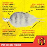 Northland Fishing Tackle Minnesota Mullet Hair Jig Fishing Lure, Lifelike Pulsing Action Bucktail Jig for Bass, Northern Pike, 5/8 Oz, White