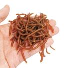 1.6in/3.3in Fishing Soft Lure Trout Worm Earthworm Bait Lifelike Fake Bloodworm Grub Worm Soft Fishing Lure Baits (Brown (50pcs/Pack), 3.3inch)