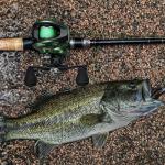 Piscifun Torrent II Baitcaster Fishing Reel, 20LB Max Drag Baitcasting Reel with Magnet Braking System, 6+1 Stainless Steel Bearings, 8.1:1 Gear Ratio Casting Reel, Green Right Hand Retrieve