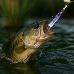 LaRandom 6 Pcs Glow Fresh Water Kokanee Salmon Trolling Lures with Pre-Rigged Octopus Hooks - Spinner Blades, Synthetic Skirts Kokanee Hoochies for Salmon Fishing