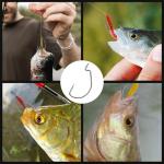 FishTrip EWG Hooks for Bass Fishing-50pcs Offset Worm Hook Texas Rig Hooks for Freshwater Saltwater Size 1