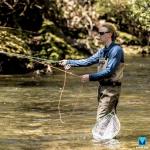 Martin Classic Rim Control Fly Fishing Reel, Metal Click Drag, Single Action, Aluminum Spool, Aluminum Frame, 5/6 Weight Line, Interchangeable Retrieve, Push-Button Release, Brown