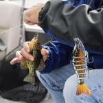 Bionic Swimming Lure - Suitable for All Kinds of Waters,3D Bionic Swimming Lure Swims Just Like a Real Injured Bait Fish, Amazing Fishing Gear Gifts for Family Fishing (A5)