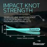 Seaguar Blue Label 100% Flourocarbon Fishing Line Leader, Freshwater, Multiple Sizes, Clear