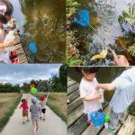 M-jump 3 Pack Colorful Telescopic Butterfly Nets