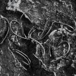 Barbless Fishing Hooks, 120pcs Barbless Trout Carp Hooks Circle Curve Shank Carp Fishing Fly Tying Hooks for Hair Rig Freshwater Saltwater (Size 10)