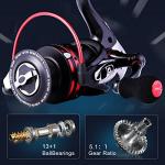 Sougayilang Fishing Reels Powerful 13+1BB Spinning Reels Ultra Smooth Reel for Saltwater or Freshwater (Fierce DL-13+1BB, 1000)