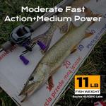 HANDING Pioneer Spinning Rod, Bass Fishing Rod with 24T Carbon Fiber, 7' MF Action M Power Spinning Fishing Rod EVA Handle, TS Ceramic Guides, 2 Pieces