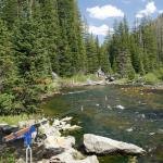 Tripquips Fishing Rod Holders - Upgraded 360 Degree Adjustable Fishing Pole Stand Equipment for Bank, Beach, Gift for Men Equipment(Blue)