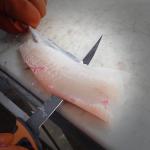 KastKing Ultimate Angler 7" Fillet Knife, Razor Sharp Corrosion-resistant Vanadium Stainless Steel Blade, Fishing Knife Includes Sheath with Sharpener & Line Cutter, EnduraGrip Ergonomic Handle