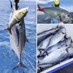 Robotic Swimming Lure 5.1” Fishing Lure 4-Segement Multi Jointed Swimbait Electric Bait LED Light USB Rechargeable Robotic Lure for Bass Trout Pike Fishing Tackle