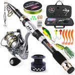 Sougayilang Telescopic Fishing Pole with Spinning Reel Portable Fishing Rod Reel Combos -1.8M/5.89Ft