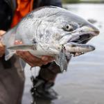 Goture Fishing Assist Hooks, Glow Jigging Double Assist Jig Hooks Kit Saltwater for Slow Pitch Fast Fall Vertical Jigging Lures