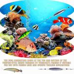 Magnoloran 10PCS Fishing Weights Torpedo Sinkers Inline Trolling Sinkers Weights Kit Fishing Sinkers Catfishing Sinkers Saltwater Fishing Torpedo Weights Double Ring Sinkers - 1oz(30g)