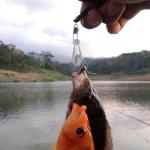 Sougayilang Fishing Weights Sinkers Bank Sinkers Bullet Weights for Surf Fishing Pier Bank Fishing Saltwater Fishing Gear 1oz to 12oz