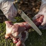 Jellas Hunting Knife Kit, 6 Pieces Stainless Steel Knife Set with Gut Hook, Skinning, Boning, Saw, Gloves & Case for Games, Camping, Fishing, Survival (HF01)