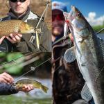 150pcs/Box Split Shot Fishing Sinkers, 5 Sizes Fishing Weights Sinkers Open Mouth Design Weights Clip Freshwater Saltwater Fishing Accessories