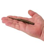 Berkley PowerBait Saltwater Bonga Stick Fishing Bait, Dark Night, 5in, Irresistible Scent and Flavor, Ideal for Bass, Redfish, Trout and More