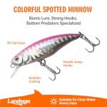 Landseas Fishing Lure Kits,247Pcs All-ScenarioTackle Box with Tackle Included,Hooks,Spoon,Weights&Ohter Accessories for Bass Trout Salmon，Lure Bait Gear Equipment Kit Christmas Gift for Man，Angler