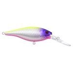 Berkley Flicker Shad Fishing Lure, Blue Tiger, 5/16 oz, 2 3/4in | 7cm Crankbaits, Size, Profile and Dive Depth Imitates Real Shad, Equipped with Fusion19 Hook