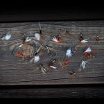 Goture 30pcs Lures Fly Fishing Flies Kit - Trout Bass Salmon Fishing Assortment - Dry Wet Streamers Nymphs