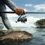 Piscifun Carbon XT Spinning Reels, Light to 6.6oz, Carbon Frame and Rotor, 22LBs Max Drag, 8+1 Shielded BB, 5.2:1 Gear Ratio, Smooth Powerful Freshwater Spinning Fishing Reel, 2000