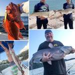 RUNCL Braided Fishing Line, 8 Strand Abrasion Resistant Fishing Line Braid, Super Durable, Smooth Casting, Zero Stretch, Smaller Diameter, Hi Vis, 328-1093 Yards, 12-100LB(40LB,546yds)